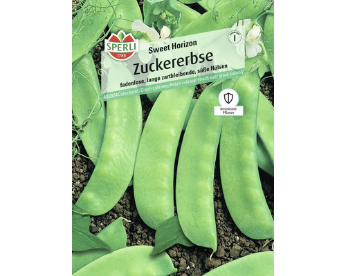 Sperli Zuckererbse Sweet Horizon Samen