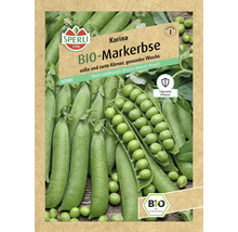 Sperli Karina Bio Markerbse Samenpackung