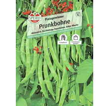 Samenpackung Prunkbohne