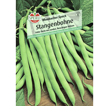 Sperli Mombacher Speck Stangenbohne Samenpackung