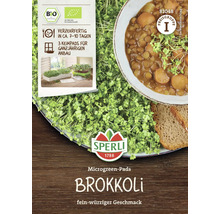 Sperli Brokkoli Microgreen Pads Packung mit Serviervorschlag