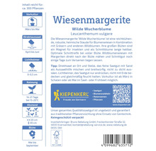 Informationen zu Wiesenmargeriten Wilde Wucherblume Leucanthemum vulgare