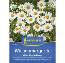 Samenpackung Wiesenmargerite, mehrjährige Wildblume von Kiepenkerl