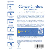 Packung Wiesen Gänseblümchen Saatgut