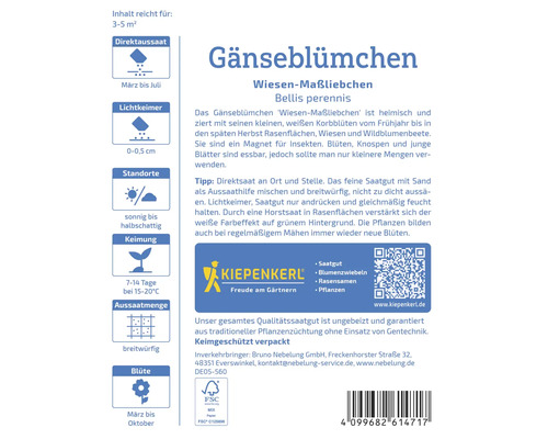 Packung Wiesen Gänseblümchen Saatgut