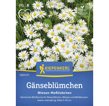 Gänseblümchen Wiesensaat Kiepenkerl