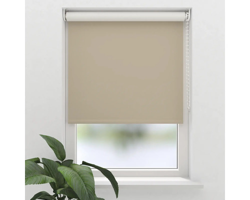 Soluna Verdunkelungsrollo V4 taupe 270x190 cm inkl. Klemmträger Beige Rollos am Fenster zur Lichtsteuerung