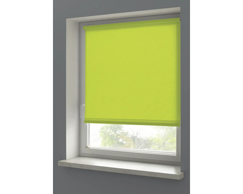 Grüne Rollo am Fenster zur Lichtsteuerung und Privatsphäre.