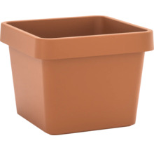 Quadratischer Pflanztopf