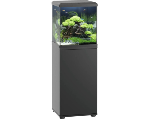 Aquarium mit Unterschrank und bepflanztem Innenraum