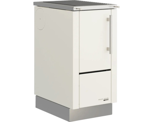 Haas Sohn Kaminofen mit Kochfunktion