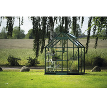 Gewächshaus mit Glaswänden und Pflanzenregalen im Garten