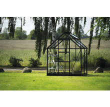 Gewächshaus mit Regalen im Garten