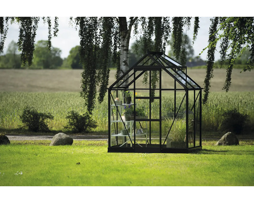 Gewächshaus mit Regalen im Garten