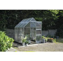 Gewächshaus im Garten mit Pflanzen und Dekoration