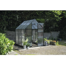 Gewächshaus mit Glas und Metallrahmen im Garten