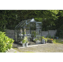 Gewächshaus mit Pflanzen im Garten