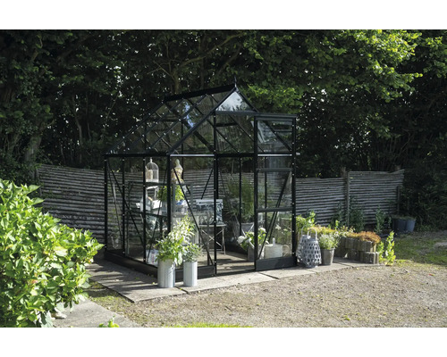 Gewächshaus mit Glaswänden und Metalrahmen im Garten