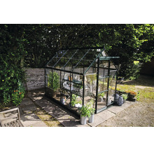 Gewächshaus im Garten mit Pflanzen und Regalen