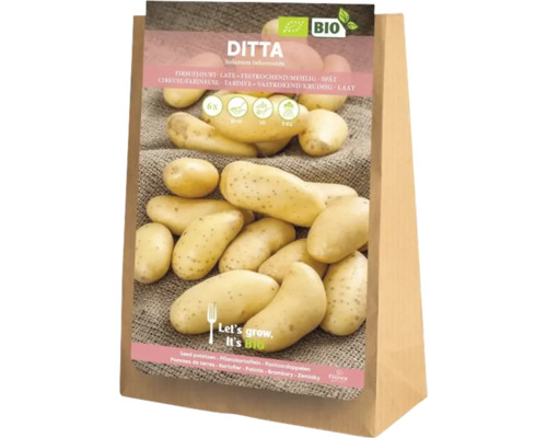 Ditta Saatkartoffeln im Fünf Kilogramm Sack