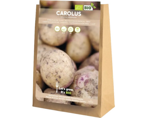 Carolus Saatkartoffeln, 5 Kilogramm, aus biologischem Anbau