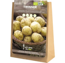 Twinner Saatkartoffeln, festkochend, 5 Kilogramm