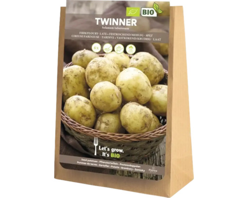 Twinner Saatkartoffeln, festkochend, 5 Kilogramm