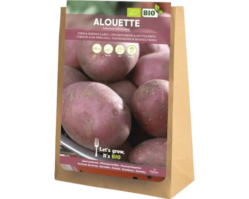 Alouette Saatkartoffeln, festkochend und mittelfrüh, 5 Kilogramm