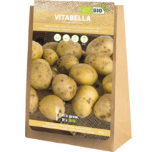 Vitabella Saatkartoffeln, festkochend, 5 Kilogramm