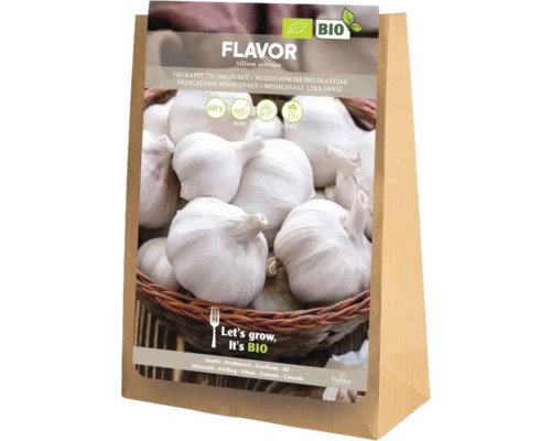 Samentüte mit Knoblauch der Sorte Flavor Allium sativum