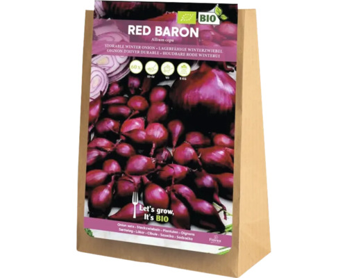 Rote Baron Winterzwiebel-Setzlinge in einer Papiertüte