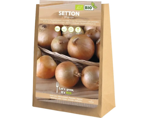 Setton Zwiebeln, Allium cepa, in einer 5 Kilogramm Packung