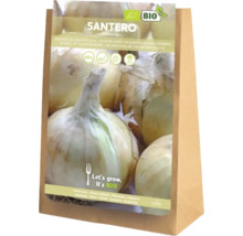Santero Zwiebelstecklinge, zertifiziert biologisch, Packung mit 60 Stück