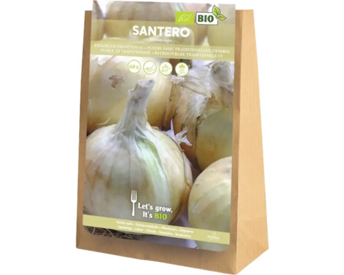 Santero Zwiebelstecklinge, zertifiziert biologisch, Packung mit 60 Stück