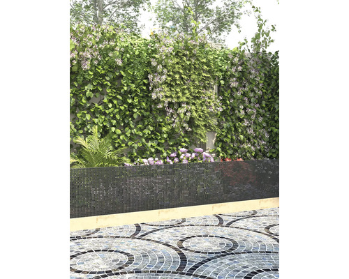 Sichtschutzwand mit Kletterpflanzen in Gartenanlage