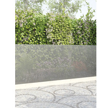 Pergola mit Kletterpflanzen und Sichtschutzwand aus Metall