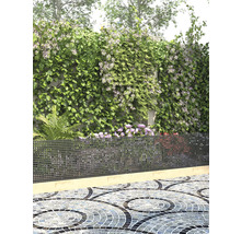 Garten mit Bewuchs, Metallzaun und Mosaikpflaster