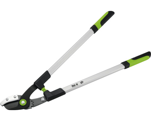 Astschere mit Teleskopgriffen