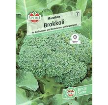 Sperli Marathon Brokkolisamen für Sommer- und Herbsternten