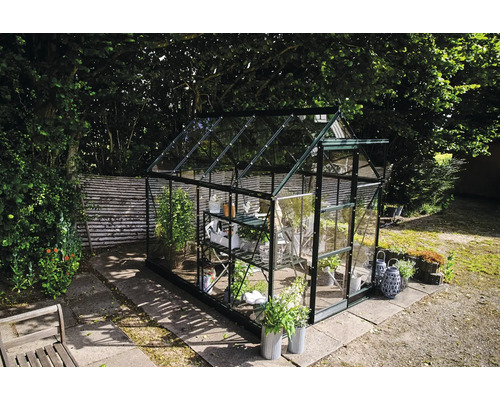 Gewächshaus mit Pflanzen im Garten