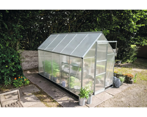 Gewächshaus im Garten mit Pflanzenregal