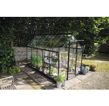 Gewächshaus im Garten mit Pflanzen und Regalen.