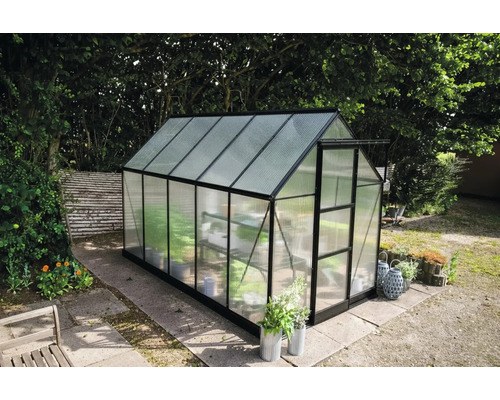 Gewächshaus mit transparenter Verglasung und schwarzem Rahmen im Garten.