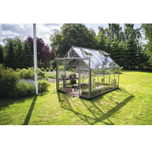 Gewächshaus im Garten mit Pflanzen und Regalen