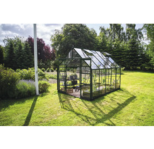 Gewächshaus im Garten mit Regalen, Pflanzen und geöffneten Fenstern.