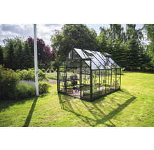 Gewächshaus im Garten mit Pflanzenregal und geöffneten Dachfenstern