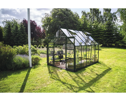 Gewächshaus im Garten mit Pflanzenregal und geöffneten Dachfenstern