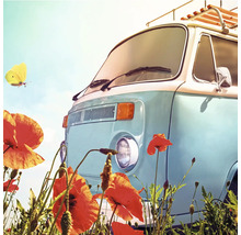 Ein hellblauer, klassischer VW-Bus mit Gepäckträger vor einem Feld mit roten Mohnblumen