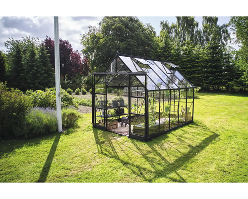 Gewächshaus im Garten mit geöffneten Fenstern und Pflanzen auf einem Regal.