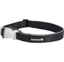 Hundehalsband mit Leuchte